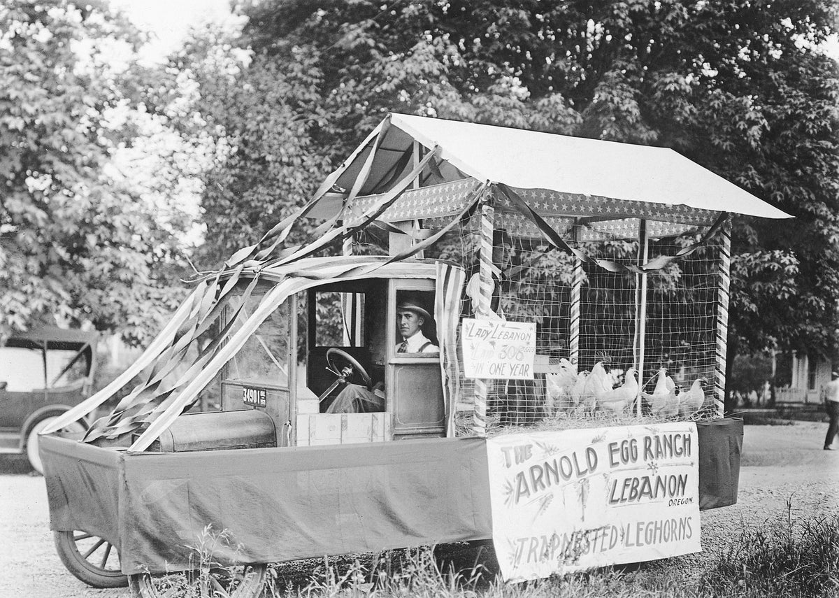 Louis Shores driving a Strawberry Parade float, circa 1915. Loffie Arnold is in the back with the chickens. Courtesy Linn County Historical Museum