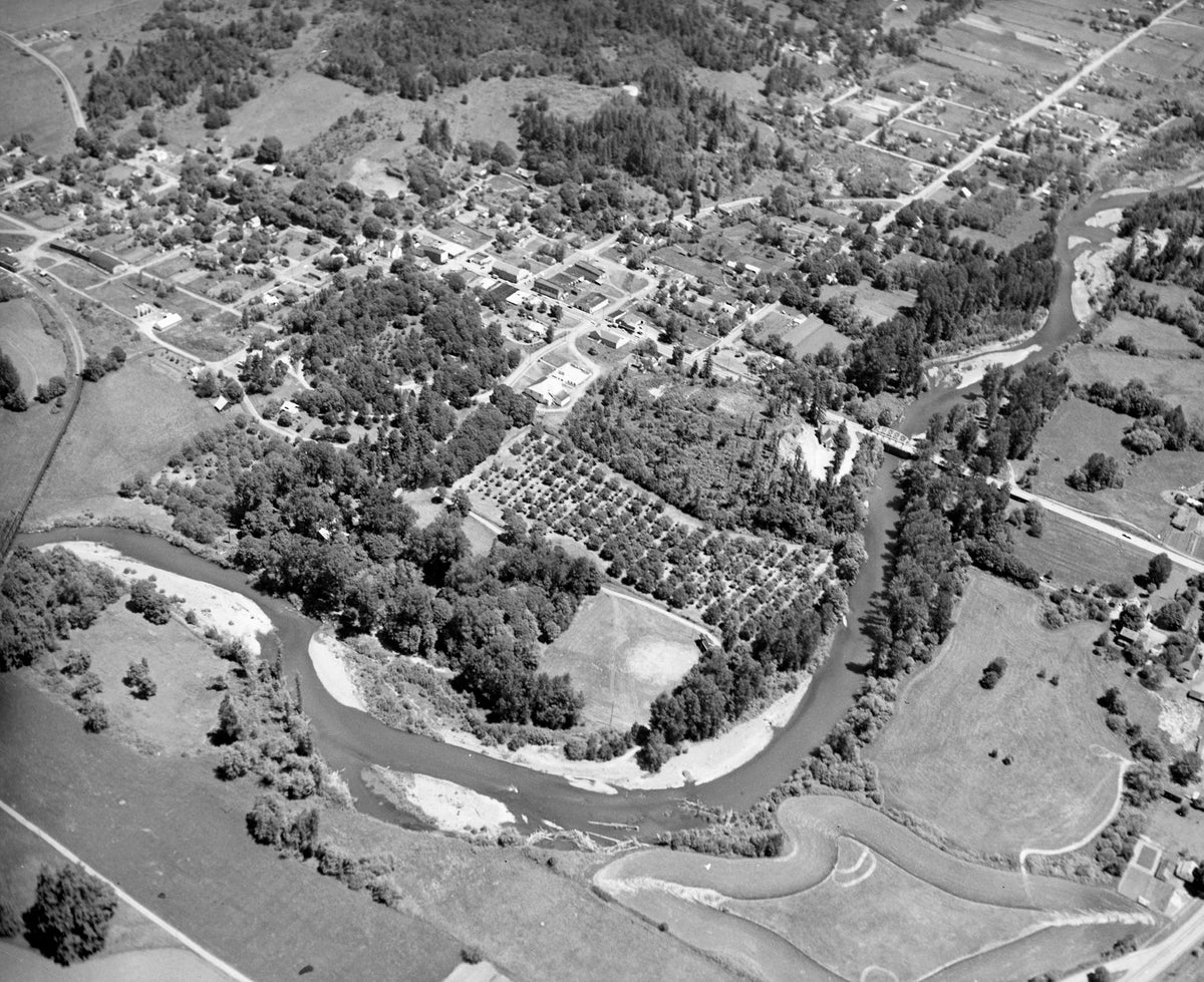 The Calapooia River bends around Pioneer Park and a filbert orchard on the west side of Brownsville, circa 1963. Courtesy Linn County Historical Museum
