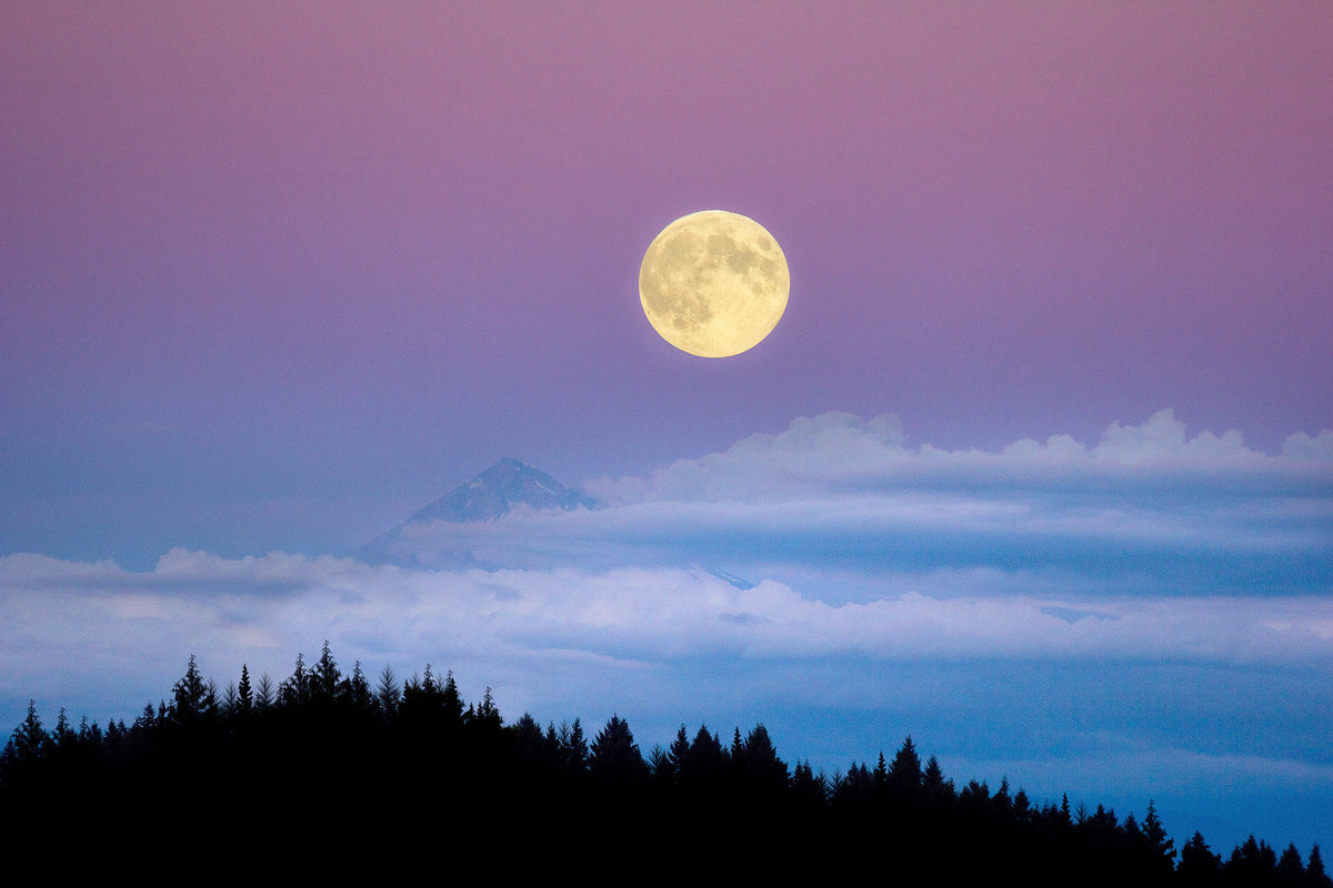 Super Moon rising at dusk over Mount Hood, 2014. Courtesy Liz Wade Photography