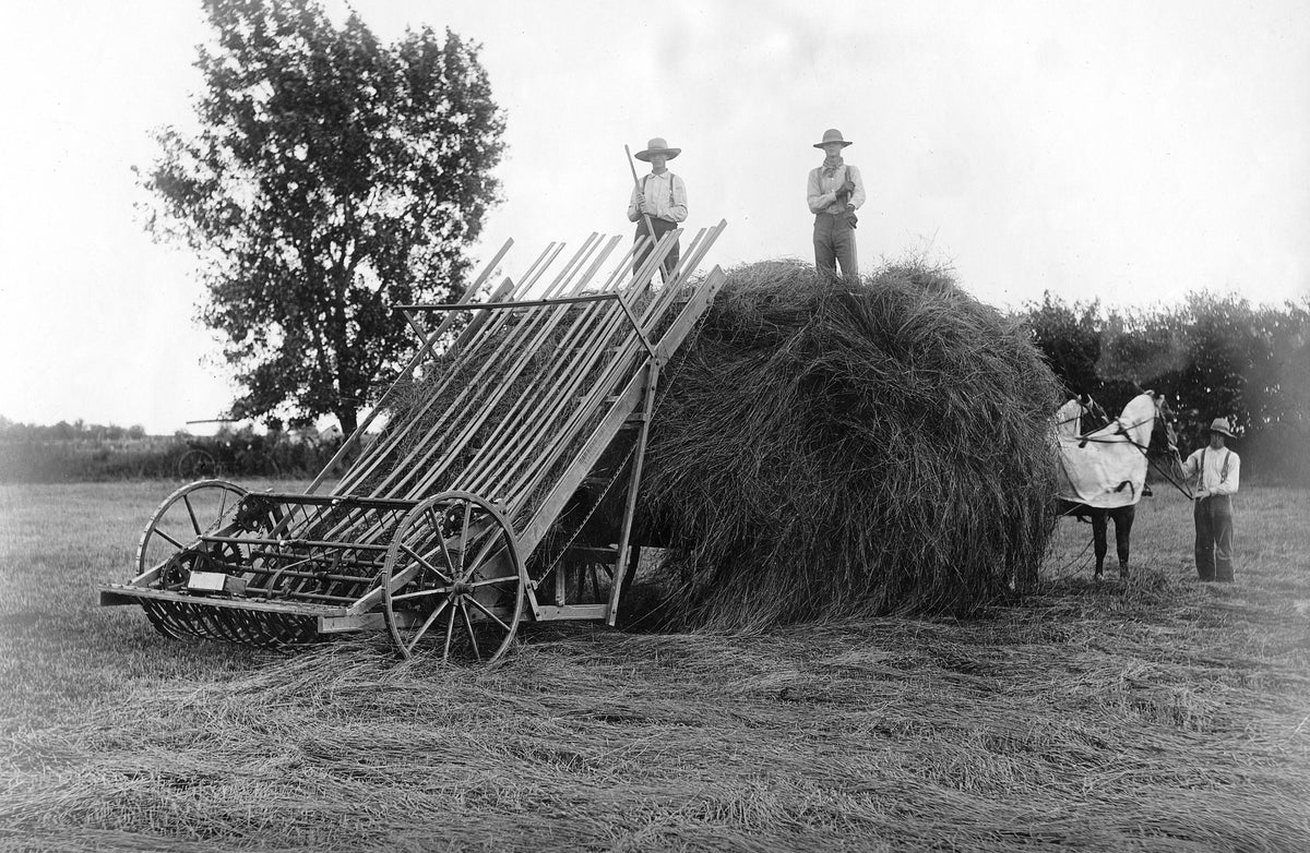 The Hawk Eye Hay Loader by Macon County farm equipment manufacturer C-B-Q (Chambers, Bering, Quinlan), July 30, 1889. Courtesy Ron Evans, Bering Collection