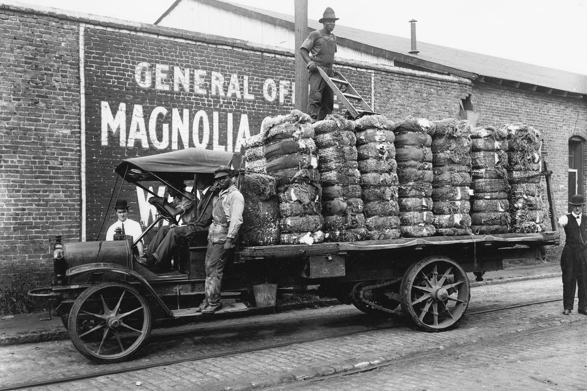 A delivery of cotten to Magnolia Compress, Mobile, circa 1920.