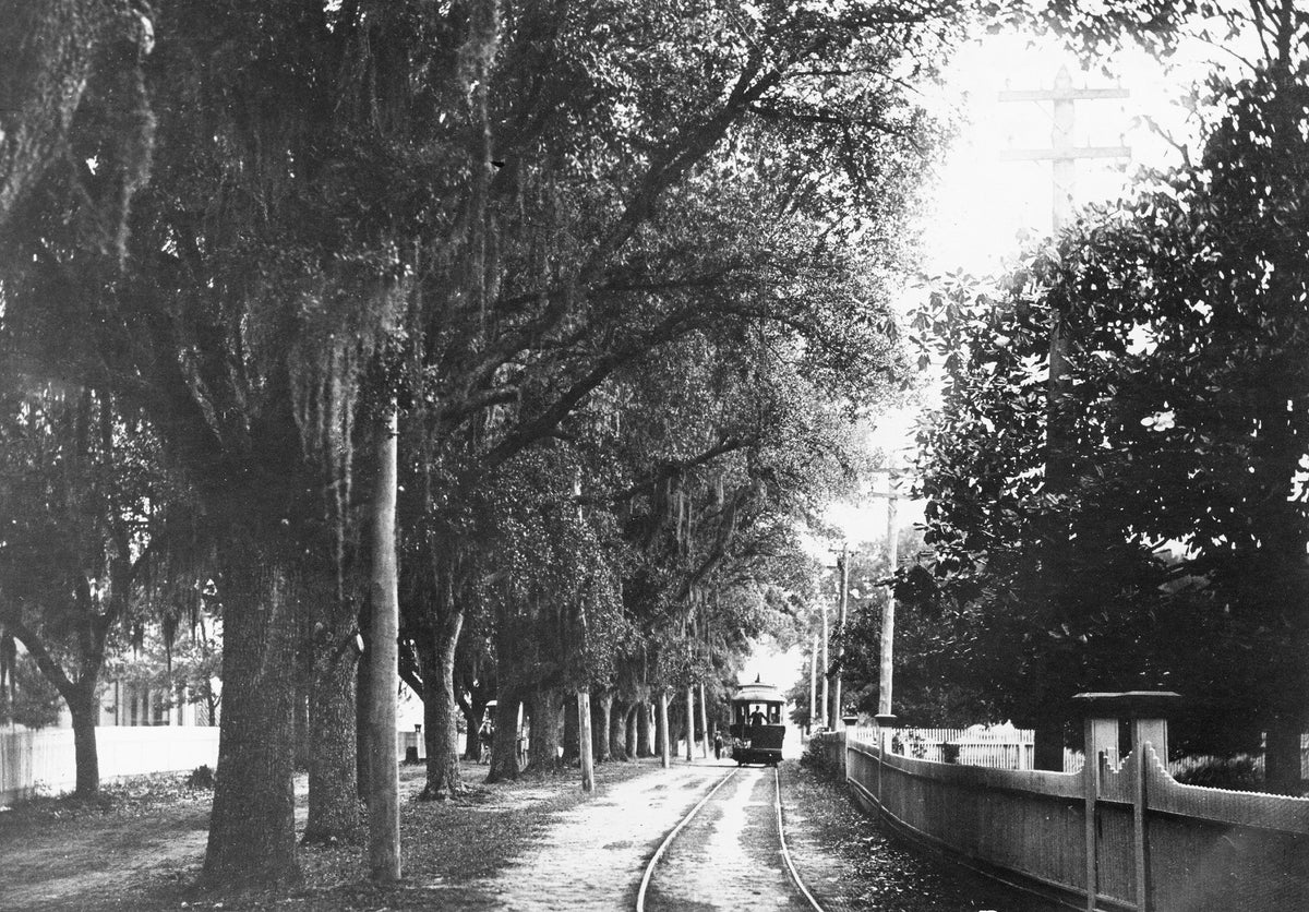 View of "Lover's Lane," Griffin Street, Moss Point, early 1900s. The white fence and gate were part of the Cowan House property. Alberts house is to the left.