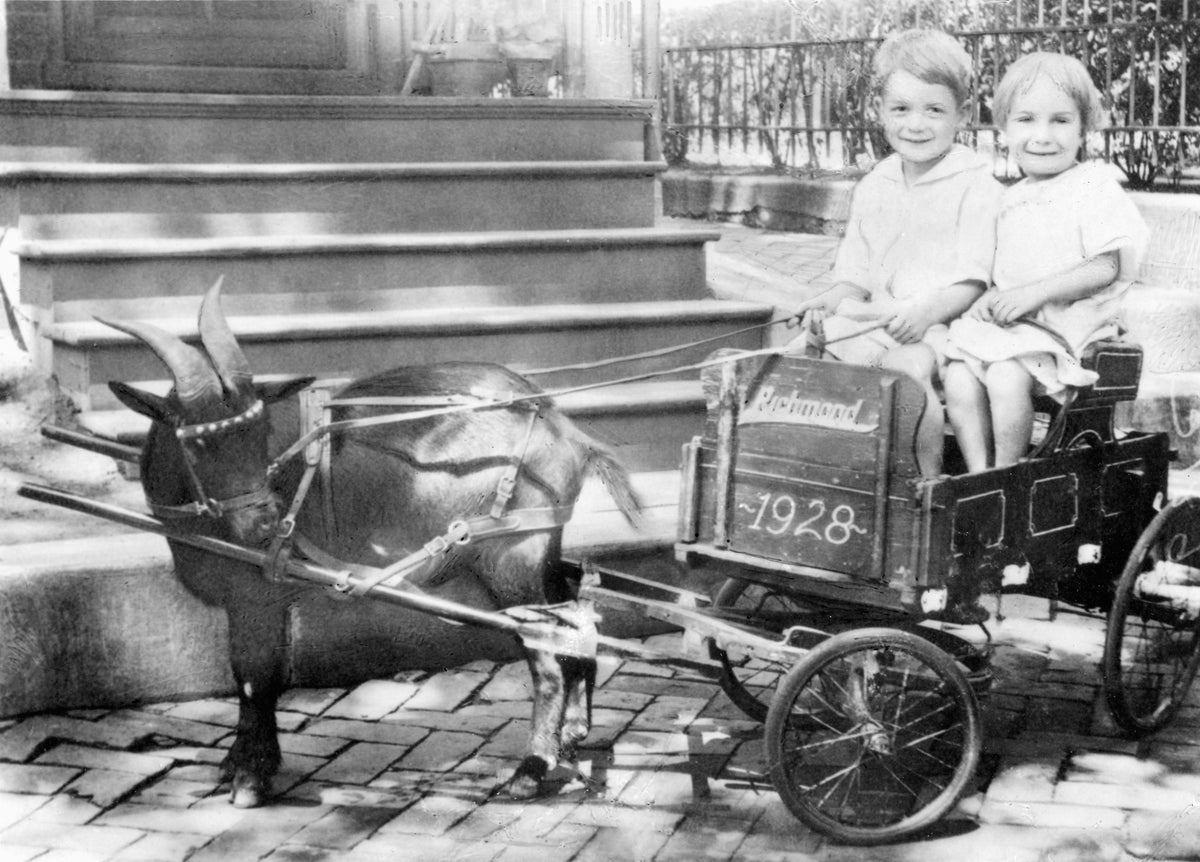 Siblings Ray and Luella Ridgeway in a goat-drawn cart, 1928. Courtesy Beverly Rogers