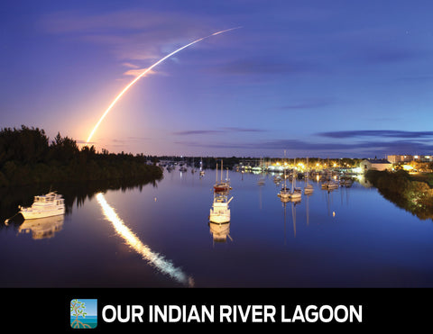 Our Indian River Lagoon Cover
