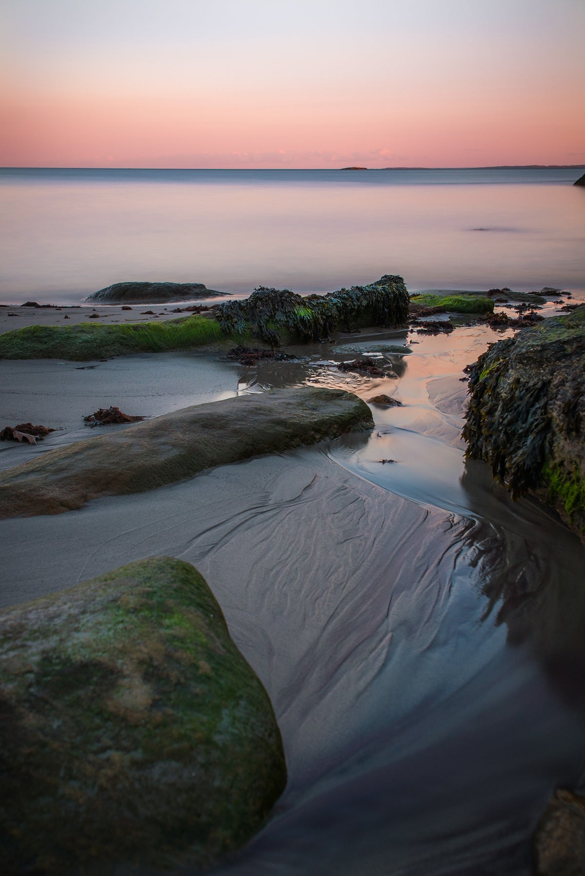 Shoreline serenity. Jesse Moore