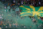 Fans celebrate a first half goal by the Portland Timbers against rival Seattle Sounders at Providence Park in Portland on June 28, 2015. Randy L. Rasmussen/Staff
