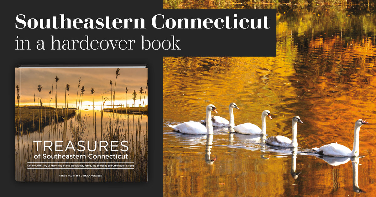 Treasures of Southeastern Connecticut: Our Proud History of Preserving Scenic Woodlands, Farms, the Shoreline and Other Natural Gems
