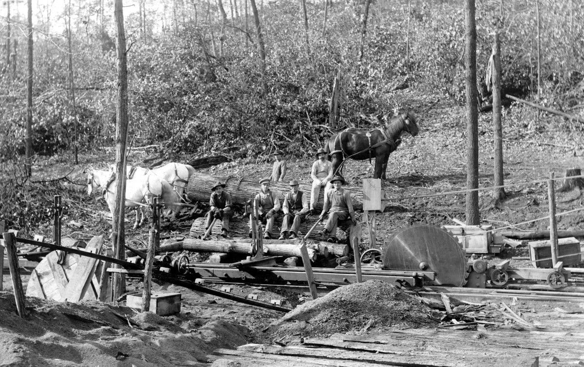 Sawmill workers in Mineral City, circa 1905. Courtesy Mineral City Area Historical Society