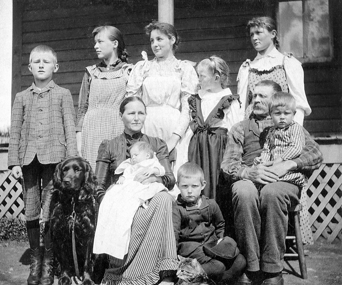 The Wentzlaff family, Hermantown, circa 1910. Front row: Mary holding Adelfine, Herbert, Wilhem holding Erwin. Back row: Arthur, Gertrude, Amillia, Viola, Alma. Courtesy Hermantown Historical Society