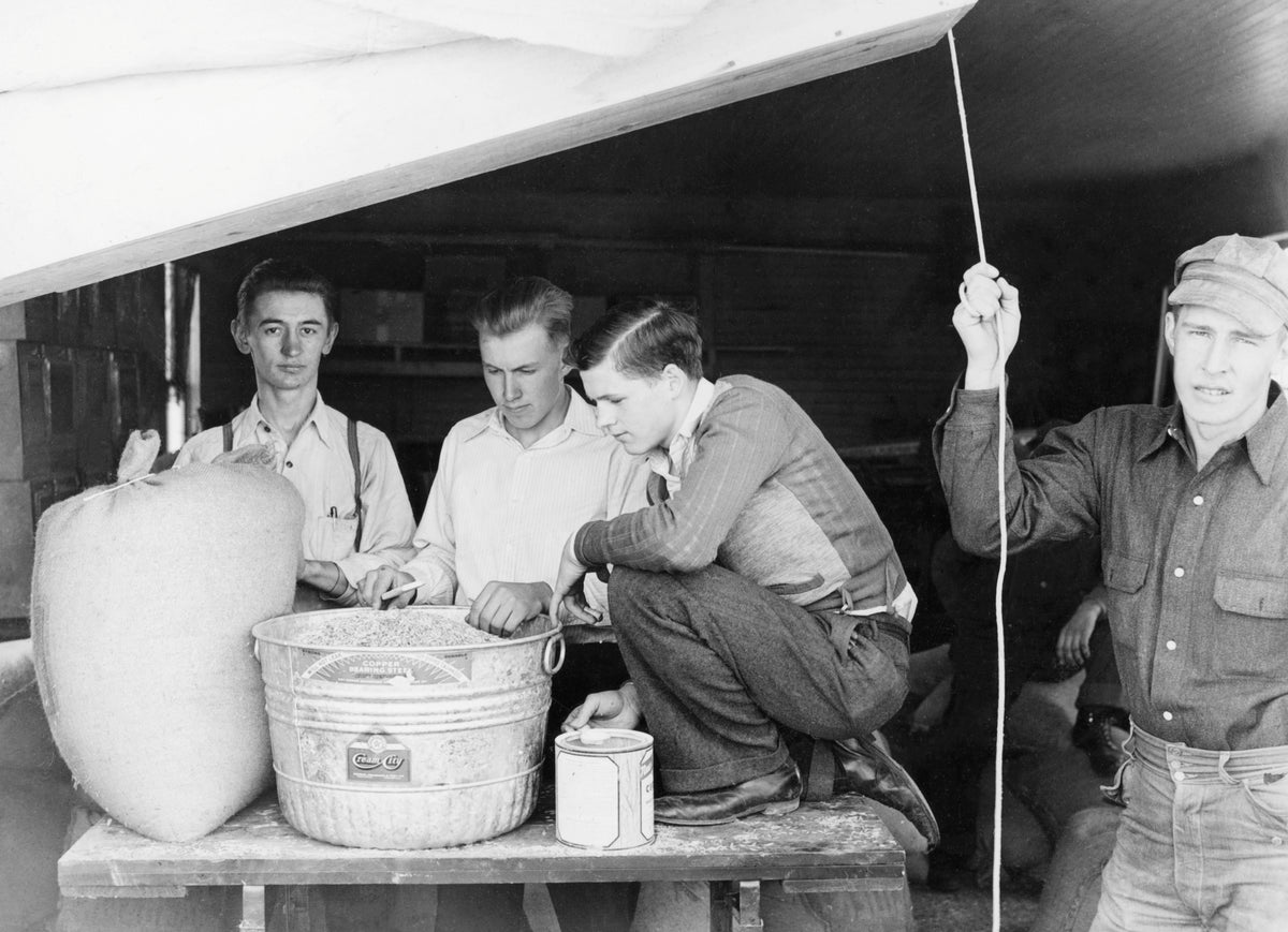 FFA members treating seed potatoes in Esko, 1941. They treated the seeds at the cost of three cents per bushel for area farmers upon request. The seed treatment was included in the Program of Work under the section of Community Services of the FFA program and was provided on a non-profit basis. Courtesy Esko Historical Society
