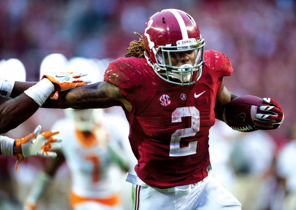 Alabama running back Derrick Henry (2) carries in the go-ahead touchdown late in the fourth quarter against Tennessee at Bryant-Denny Stadium in Tuscaloosa, Ala. on October 24, 2015. Derrick Henry
