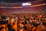 Fans storm the field after Tennessee's 52-49 win over Alabama. (Jamar Coach / USA TODAY NETWORK)