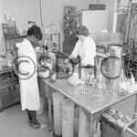 Lab assistants at Salk Institute in July 1965 represent San Diego’s push into biomedical and high-tech research fields in the 1960s. Salk as well as UC San Diego were two new institutions that opened in that decade and from them sprang numerous companies, medicines, and technologies that created a new economic sector for San Diego and high-paying jobs. San Diego History Center, Union-Tribune Collection (#UT85:E6475-2)