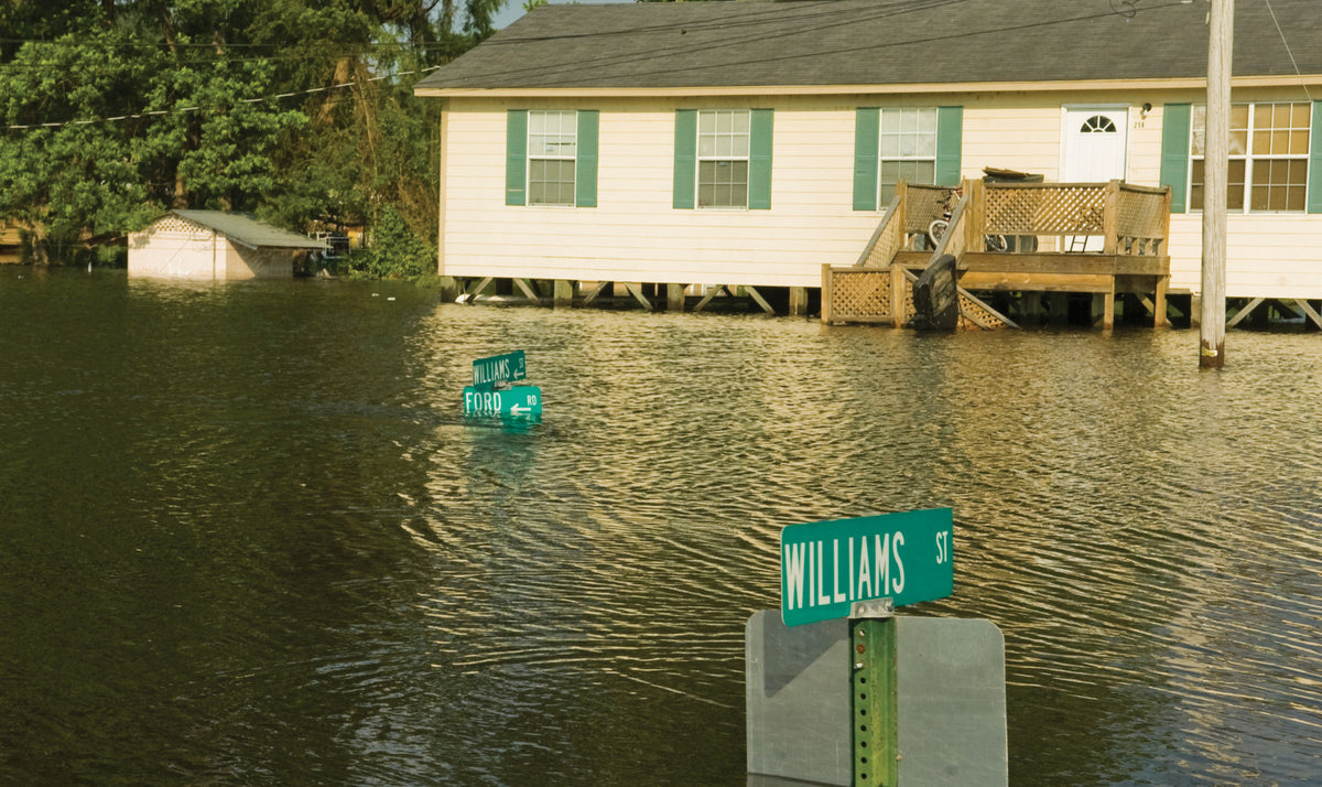 The Mississippi River Flood of 2011