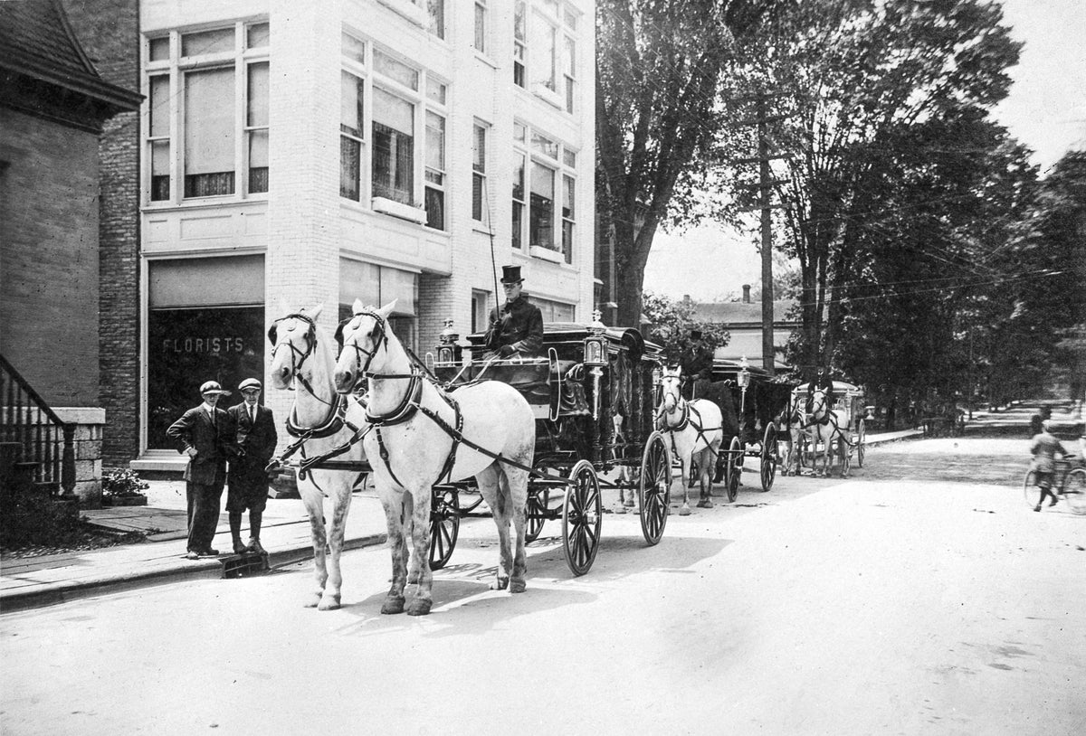 Coaches in front of Guilfoyle Building located at the 100 block on Stone Street, early 1900s. The lower level housed a florist and funeral home, established in 1907 by Dennis E. Guilfoyle. He also established Guilfoyle Ambulance. Courtesy Watertown Daily Times