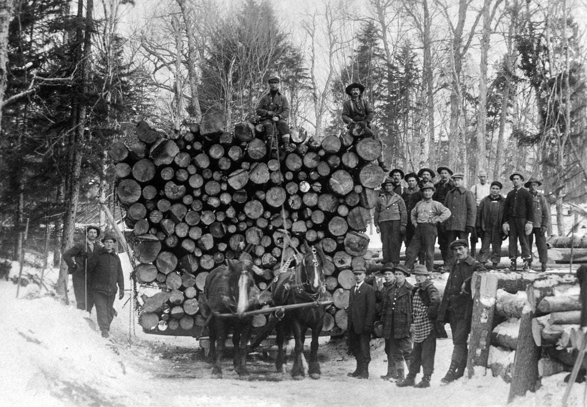 Workers hauling a load of logs, circa 1915. Courtesy Watertown Daily Times