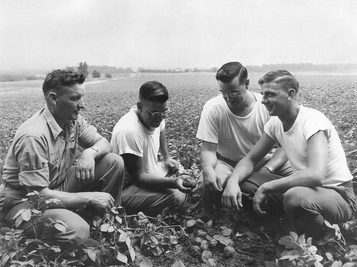Wayne County Memories II: A Pictorial History of the 1940s, 1950s and 1960s