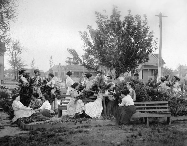 Winterville High School students enjoying social time between classes, circa 1905. Courtesy Jesse Riggs Collection