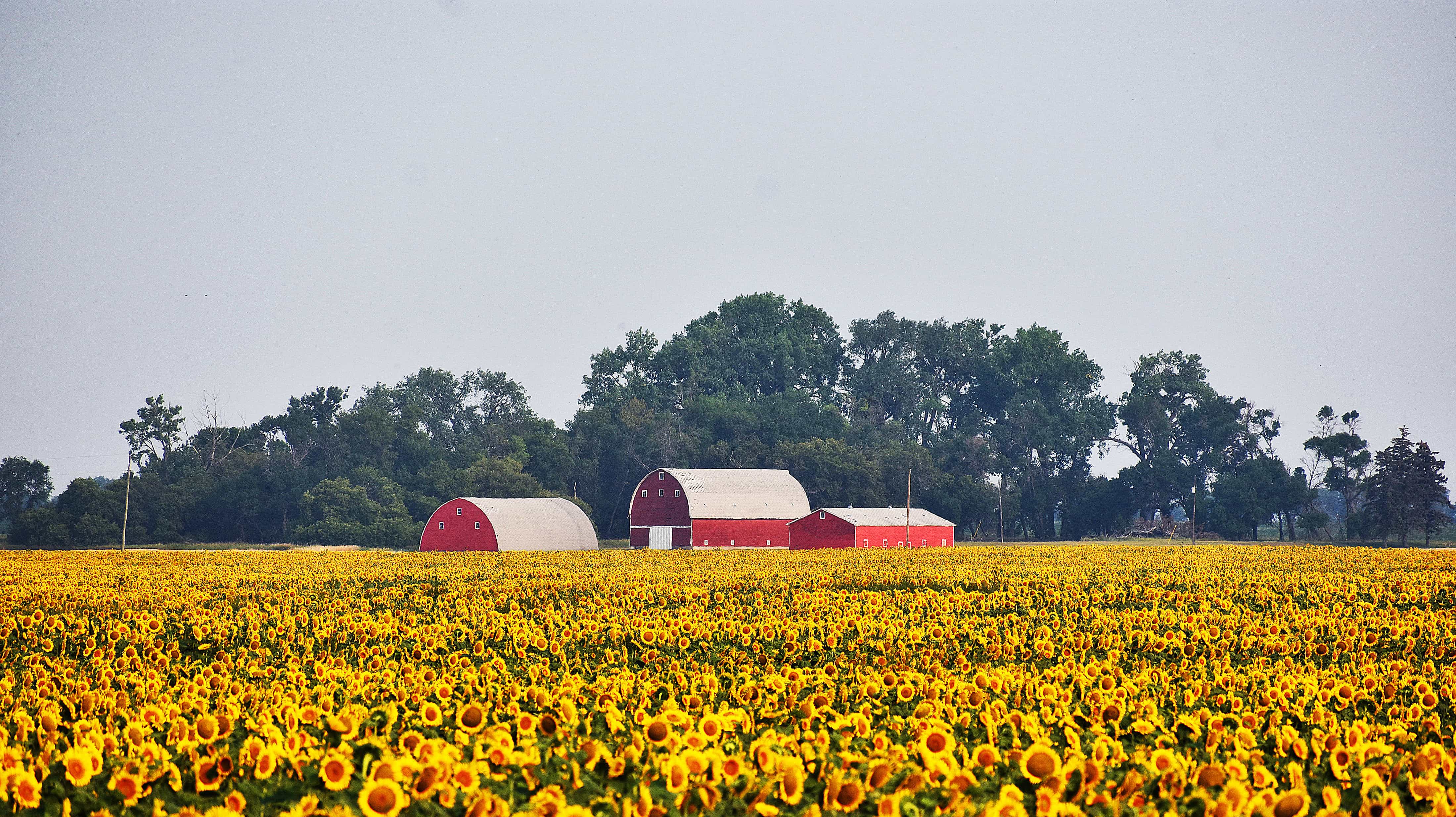 Dirt Roads to Downtown: The Peace Garden State ~ A Photographer's