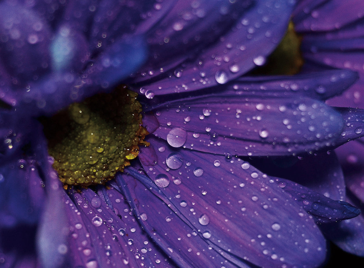 It is so refreshing to see those droplets of water.