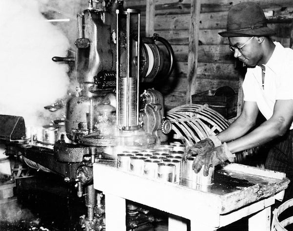 Perry Belch cannery in Colerain, late 1930s. Courtesy State Archives of North Carolina, Charles A. Farrell Photo Collection, PhC.9.2.6.27