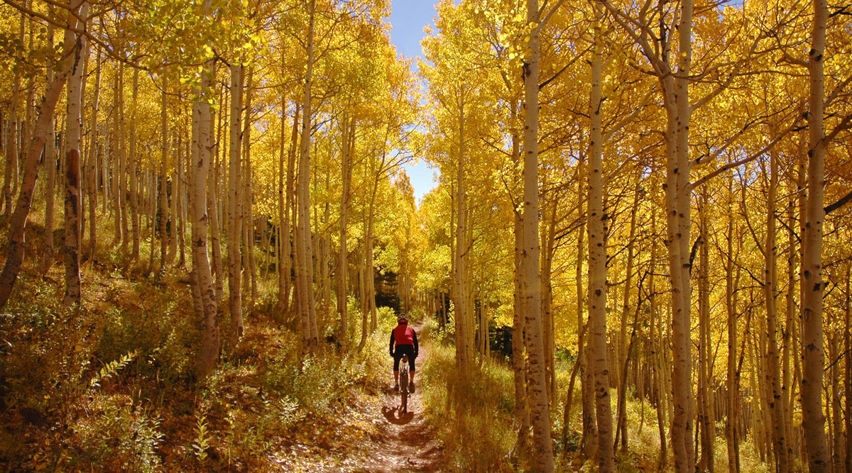 A mountain biker makes his way up Alta’s Wasatch Crest Trail in September 2005. Francisco Kjolseth / The Salt Lake Tribune