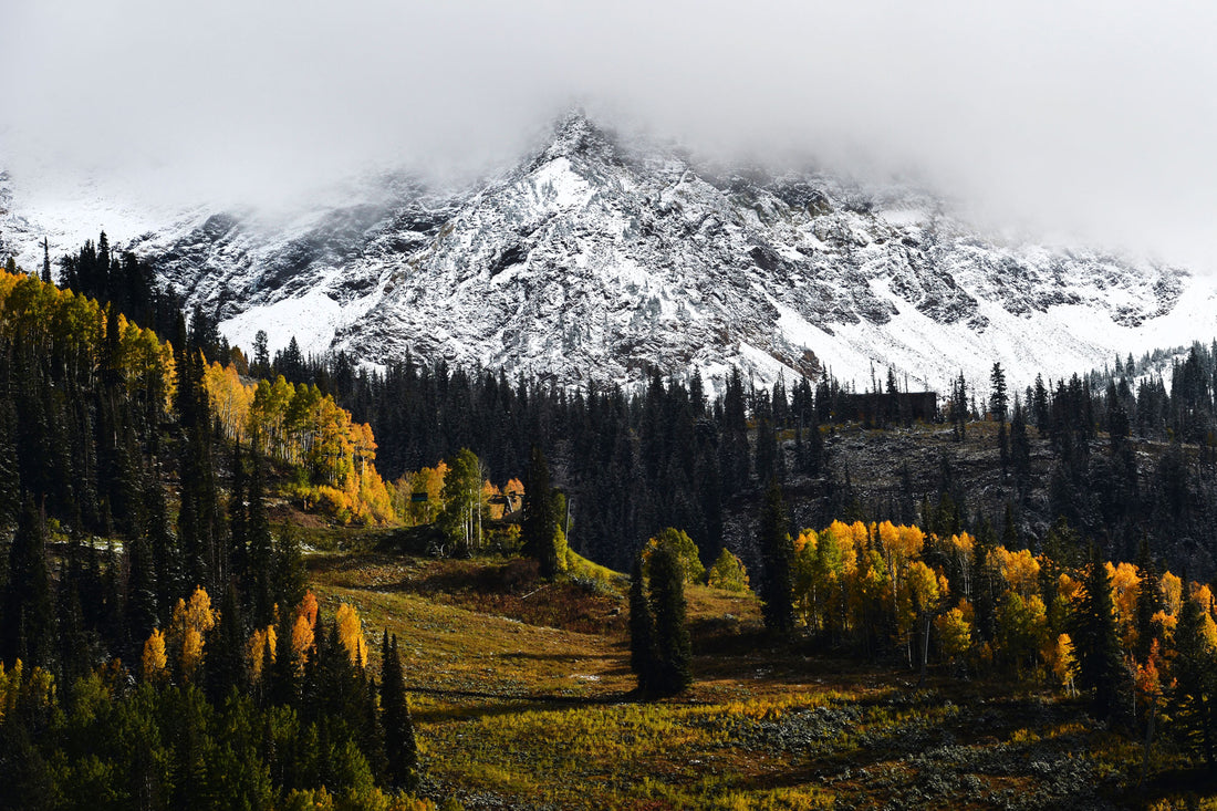 The evening sun illuminates aspen trees as the peaks above Snowbird ski resort are covered in snow in October 2014. Steve Griffin / The Salt Lake Tribune