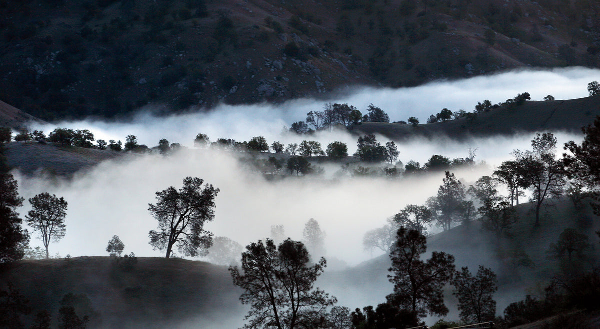 Casey Christie / The Californian The early morning fog lies in the foothills along the Kern River near the Democrat area in the Kern River Canyon, Tuesday.