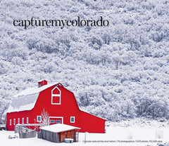 Capture My Colorado: Aspen Cover