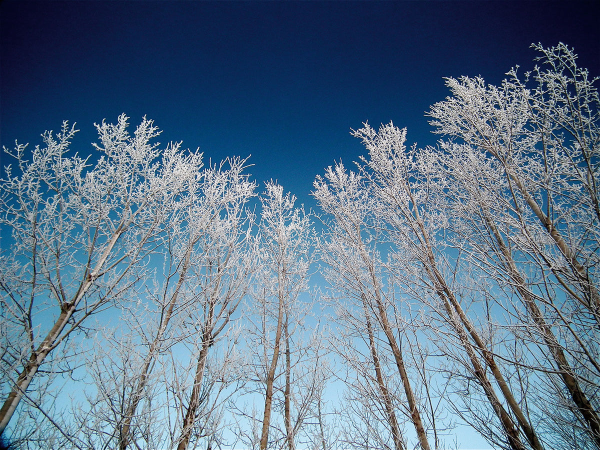 Capture Wisconsin: Wisconsin Through the Eyes of Wisconsin Photographers