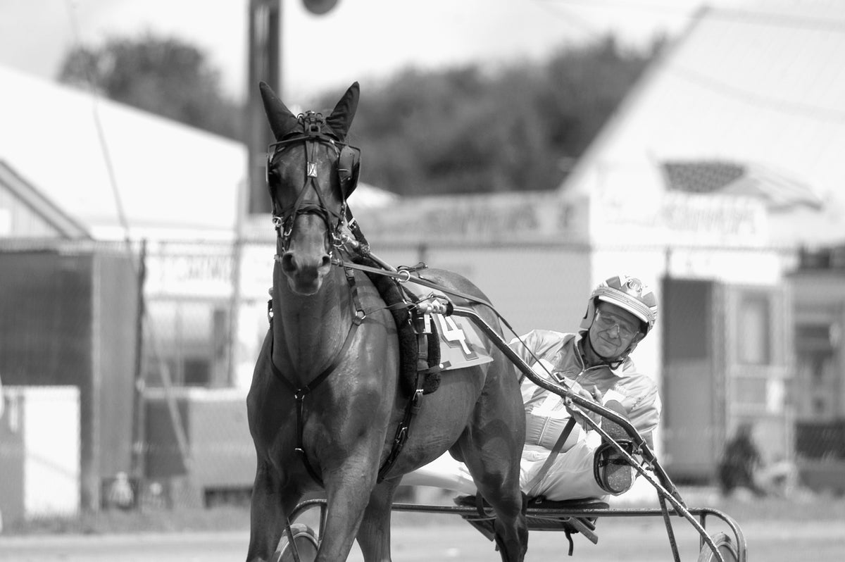 Cochranton's Walter L. "Boots" Dunn. Dunn is regarded as the winningest amateur horse driver of all time, racking up a total of 1,152 victories in his career that spanned nearly eight decades. Courtesy Meadville Tribune