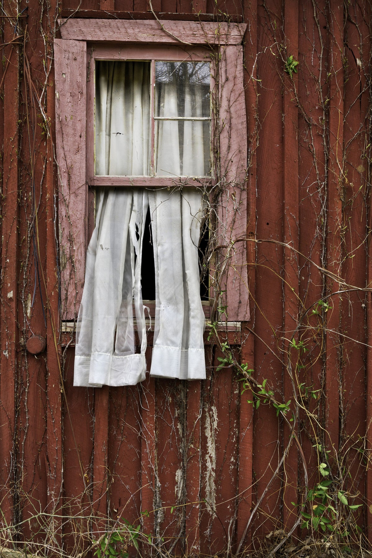 Photo by Peggy Estes
