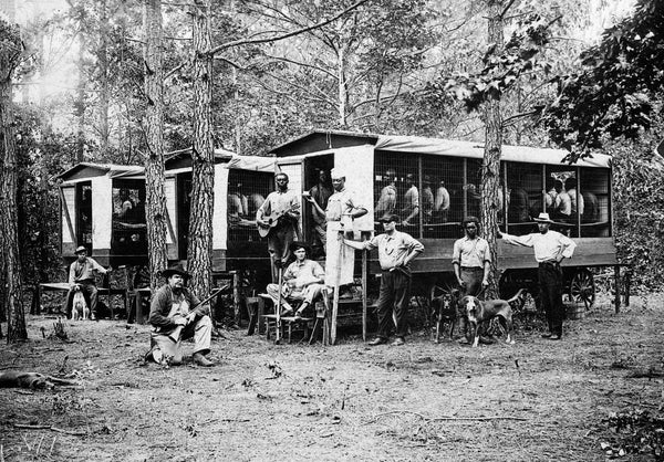 Chain gang of convicts in their quarters in Pitt County, 1910. When not engaged in road work, the convicts were quartered in wagons, which were equipped with bunks, and moved from place to place as labor was utilized. The central figure in the picture is J. Z. McLawhon, county superintendent of chain gangs. Courtesy Library of Congress / #2017761945