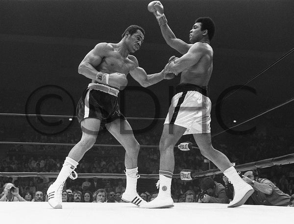 Ken Norton (left) was not expected to beat Muhammad Ali at the San Diego Sports Arena on March 31, 1973. But after he broke the former champ’s jaw and picked up the pace, the referees declared a split decision for Norton at the end of the 12th round. It was only Ali’s second career loss. Norton won $50,000, his career high at the time. It is considered one of the most memorable sports events in local history. San Diego History Center, Union-Tribune