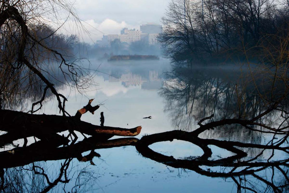 Chicago in Season: A Collection of Images by Chicago Tribune Photographers