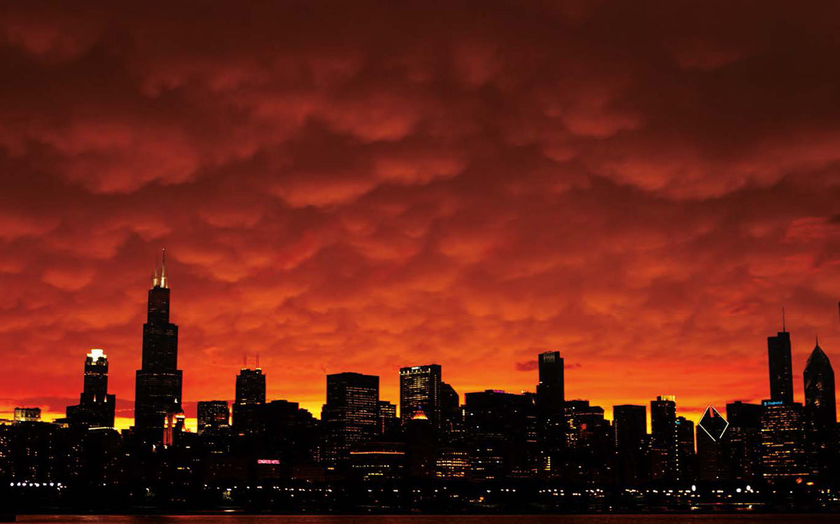 Chicago in Season: A Collection of Images by Chicago Tribune Photographers
