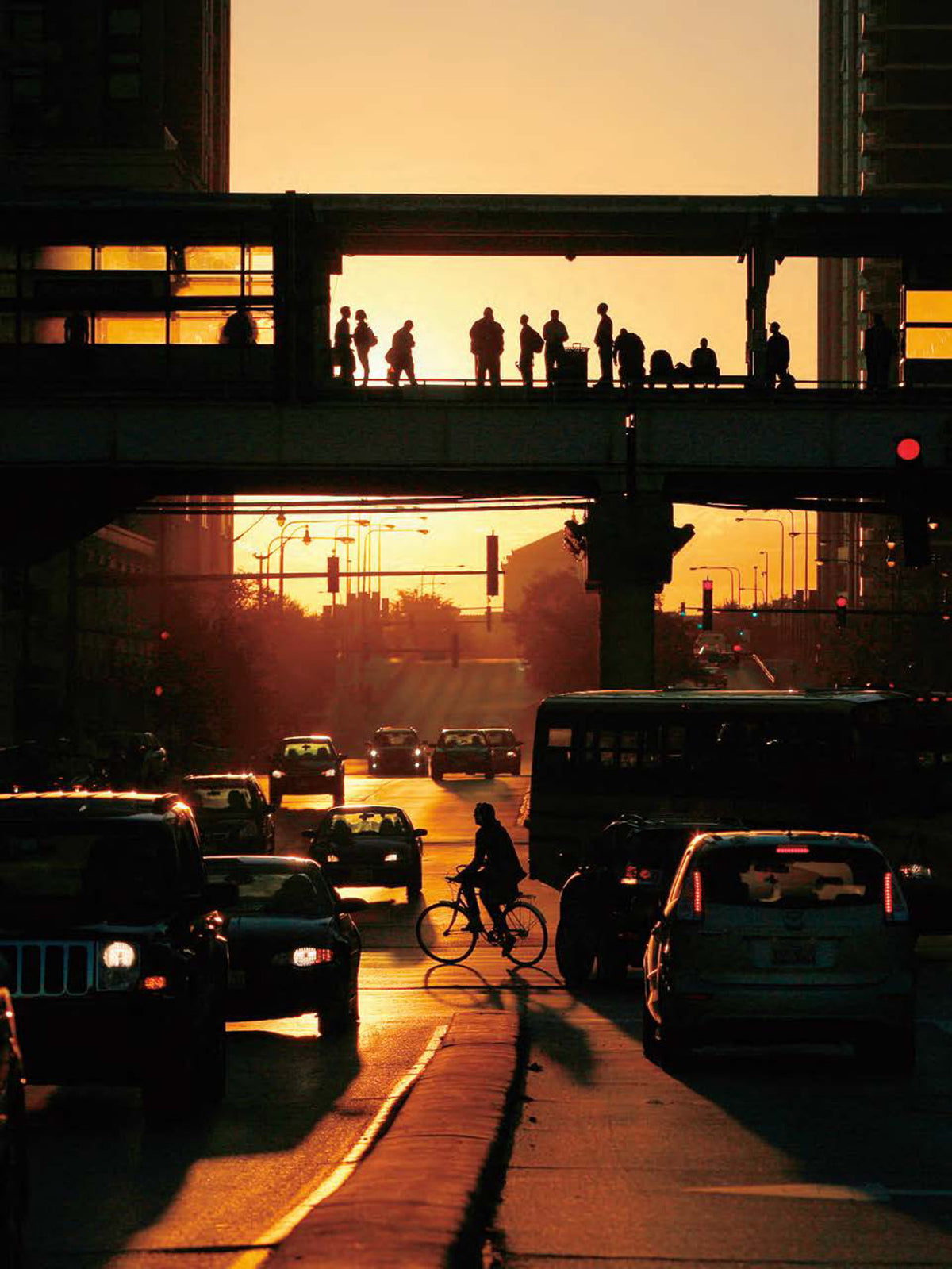 Chicago in Season: A Collection of Images by Chicago Tribune Photographers