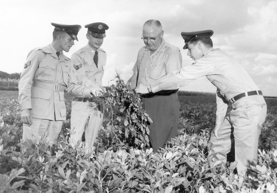 Portales, New Mexico 1909 2009 Pictorial History Book Pediment