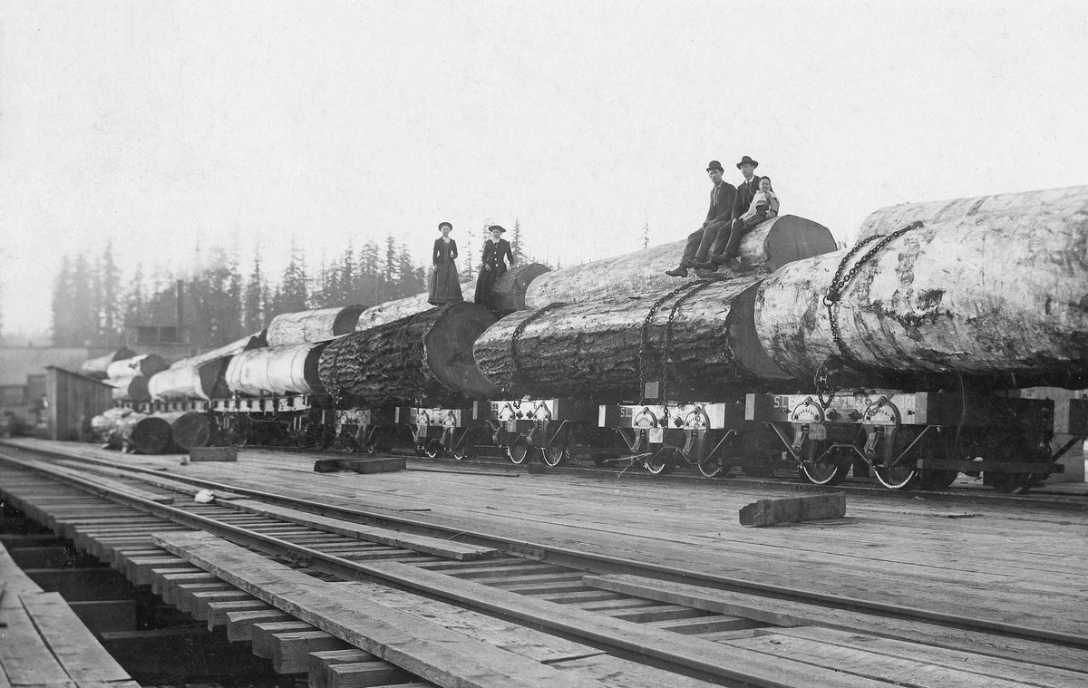 A train is loaded with logs at Henry Yesler’s mill in 1893 in the town of Yesler, on Union Bay near what is now Husky Stadium. The town was incorporated into Seattle in 1910 and the site now includes a wildlife preserve. Courtesy Seattle Public Library ^^ center light rgba(20,20,20,0.4)