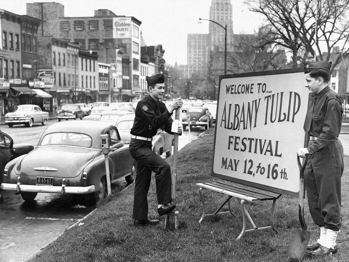 Boy Scouts Gregg Reilly (Post 36) and Paul Abair (Post 70) setting up a sign in Townsend Park for the upcoming Tulip Festival in Albany, 1953. Courtesy Times Union Historic Images