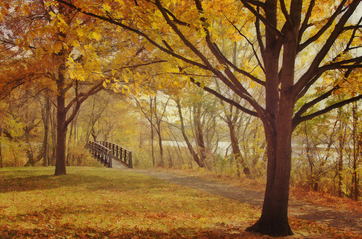 What a beautiful sight it was at French Regional Park in Plymouth. Photograph by Chandra Whitfield