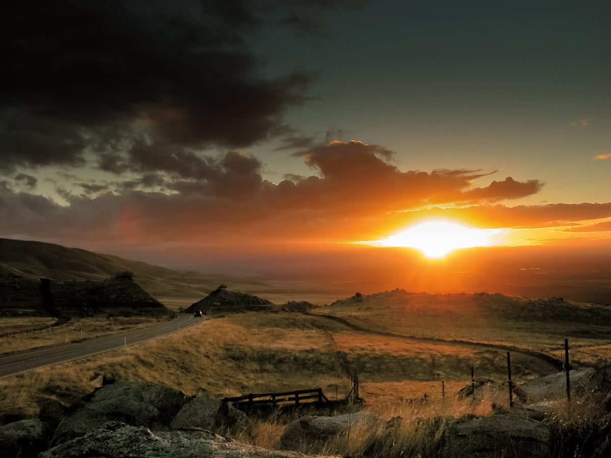 The lighting shifts rapidly in the winter, especially on the last day of the year. As the heat of the sun rapidly dissipates, the environment also accelerates it's shift into nocturnal mode.